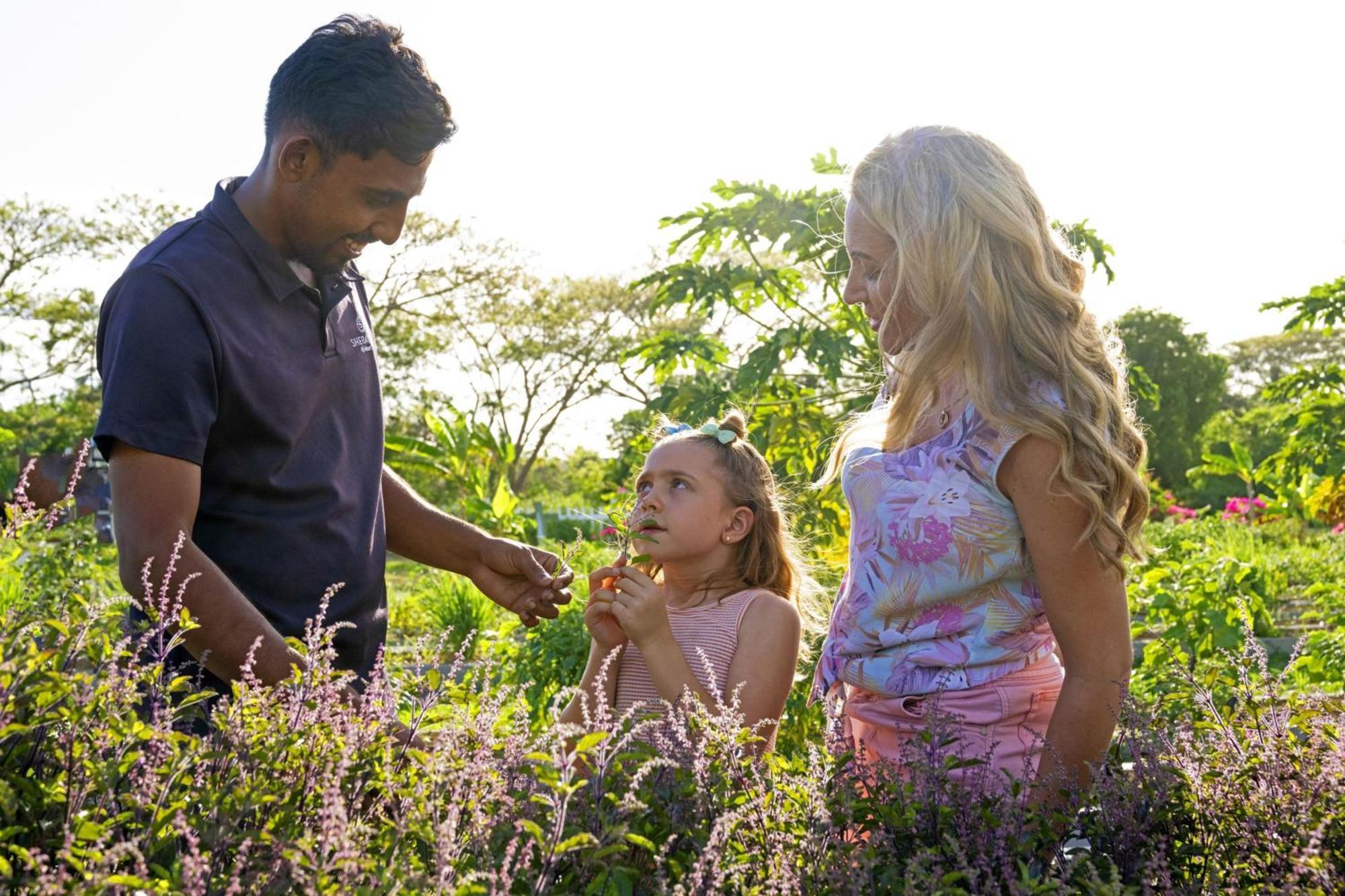 Sheraton Fiji Golf & Beach Resort Denarau Island Bagian luar foto Family